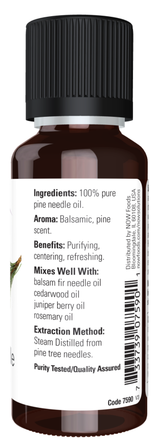 
                  
                    Pine Needle Essential Oil
                  
                