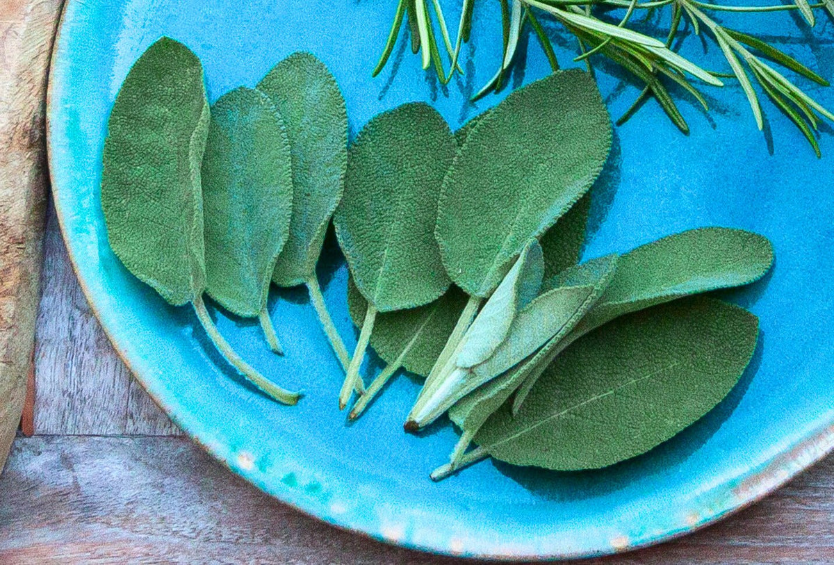 Sage Powder, Herbs Spices & Seasonings - Country Life Natural Foods