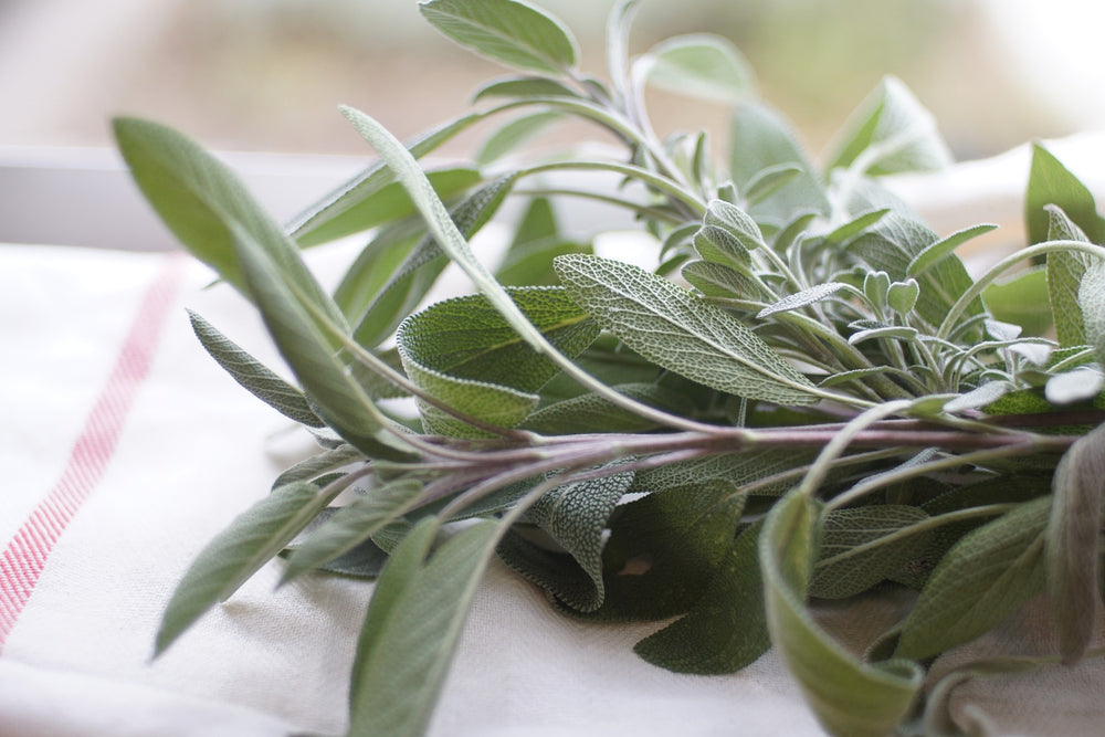 
                  
                    Sage, Rubbed - Country Life Natural Foods
                  
                