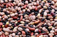 Beans