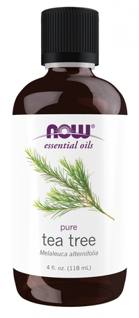 
                  
                    Tea Tree Essential Oil - Country Life Natural Foods
                  
                