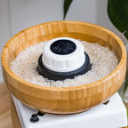 Harvest Grain Mill, Grain Mill - Country Life Natural Foods