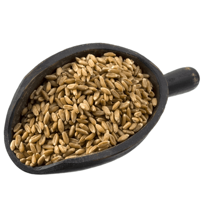 Bread Making With Hard Red Wheat Berries: Simple Recipes | Country Life ...