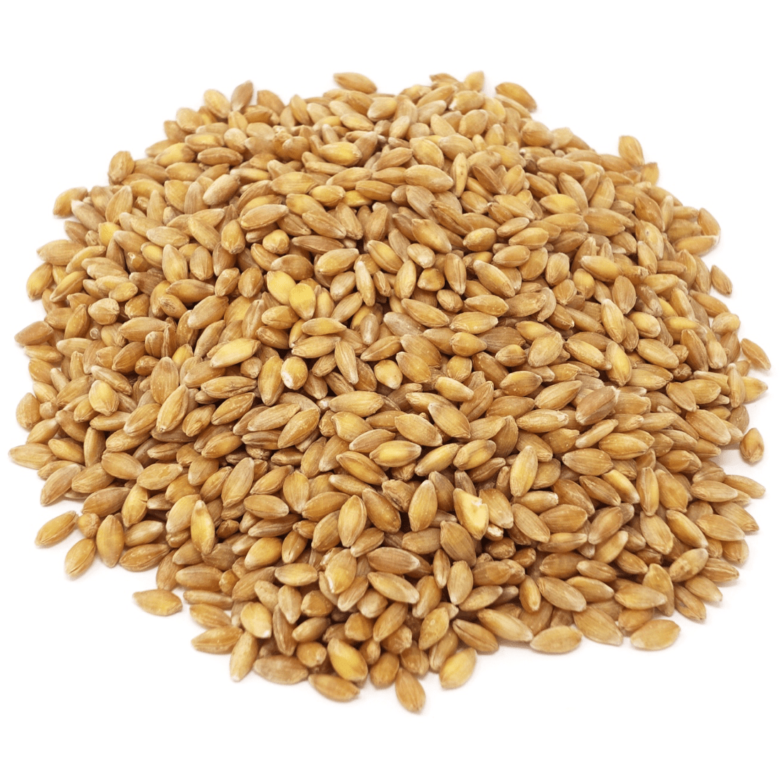 Einkorn Berries, Organic - Country Life Natural Foods