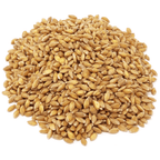 Einkorn Berries, Organic, Grains - Country Life Natural Foods