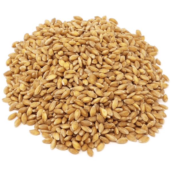 Einkorn Berries, Organic, Grains - Country Life Natural Foods