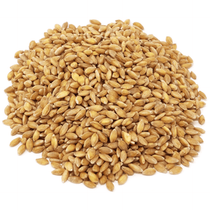 Einkorn Berries, Organic