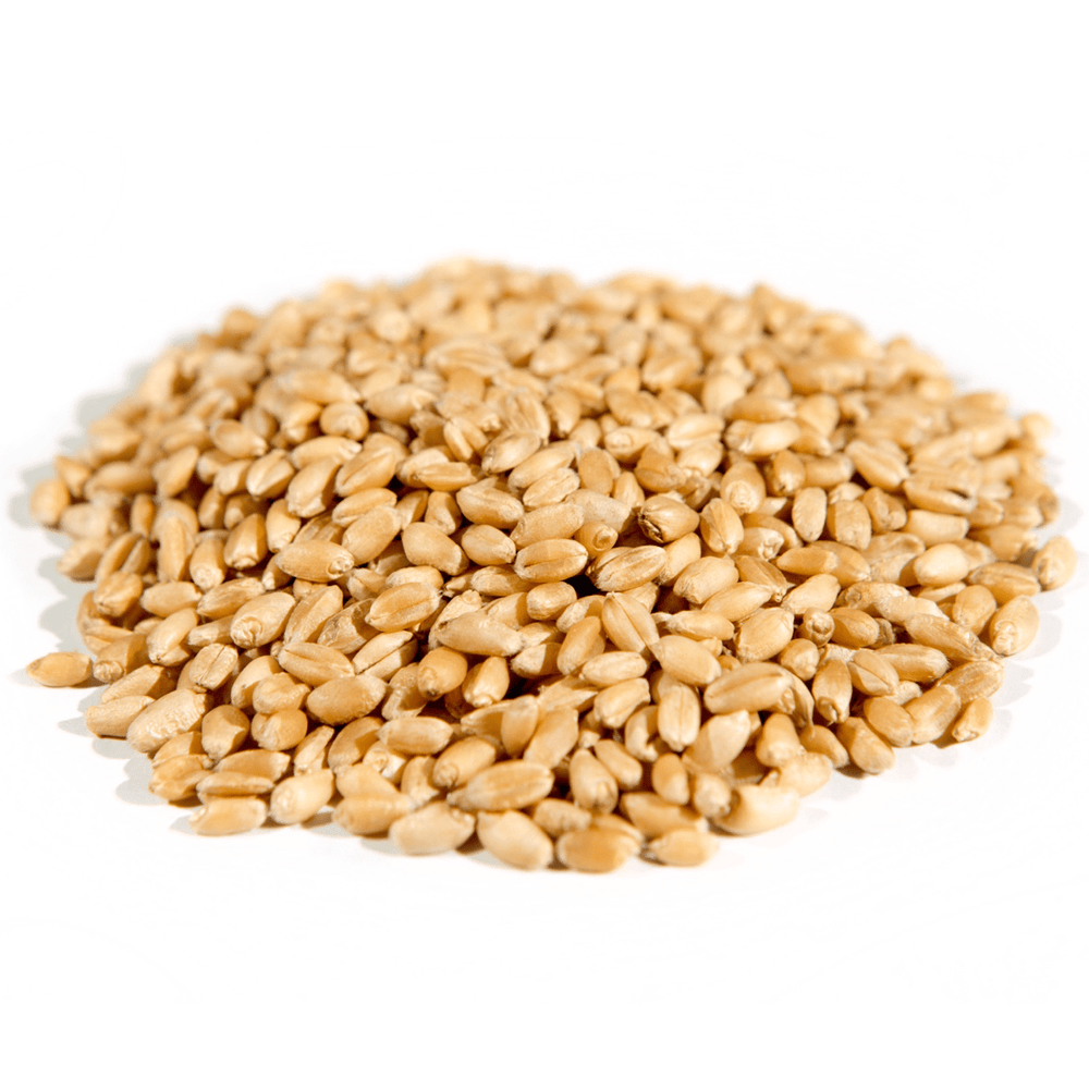 Wheat Berries, Hard White, Organic - Country Life Natural Foods