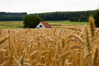 
                  
                    Mill Your Own Flour - Grain Starter Kit - Country Life Natural Foods
                  
                