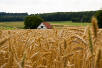 
                  
                    Mill Your Own Flour - Grain Starter Kit
                  
                