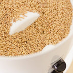 Classic Grain Mill, Grain Mill - Country Life Natural Foods