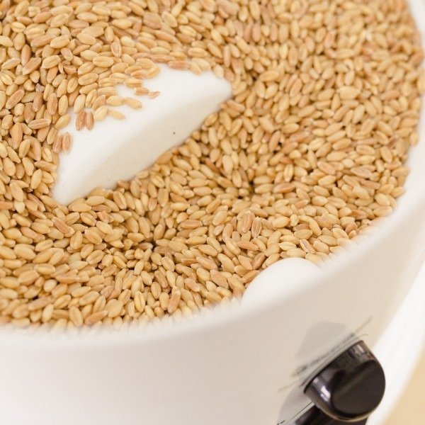 Classic Grain Mill - Country Life Natural Foods