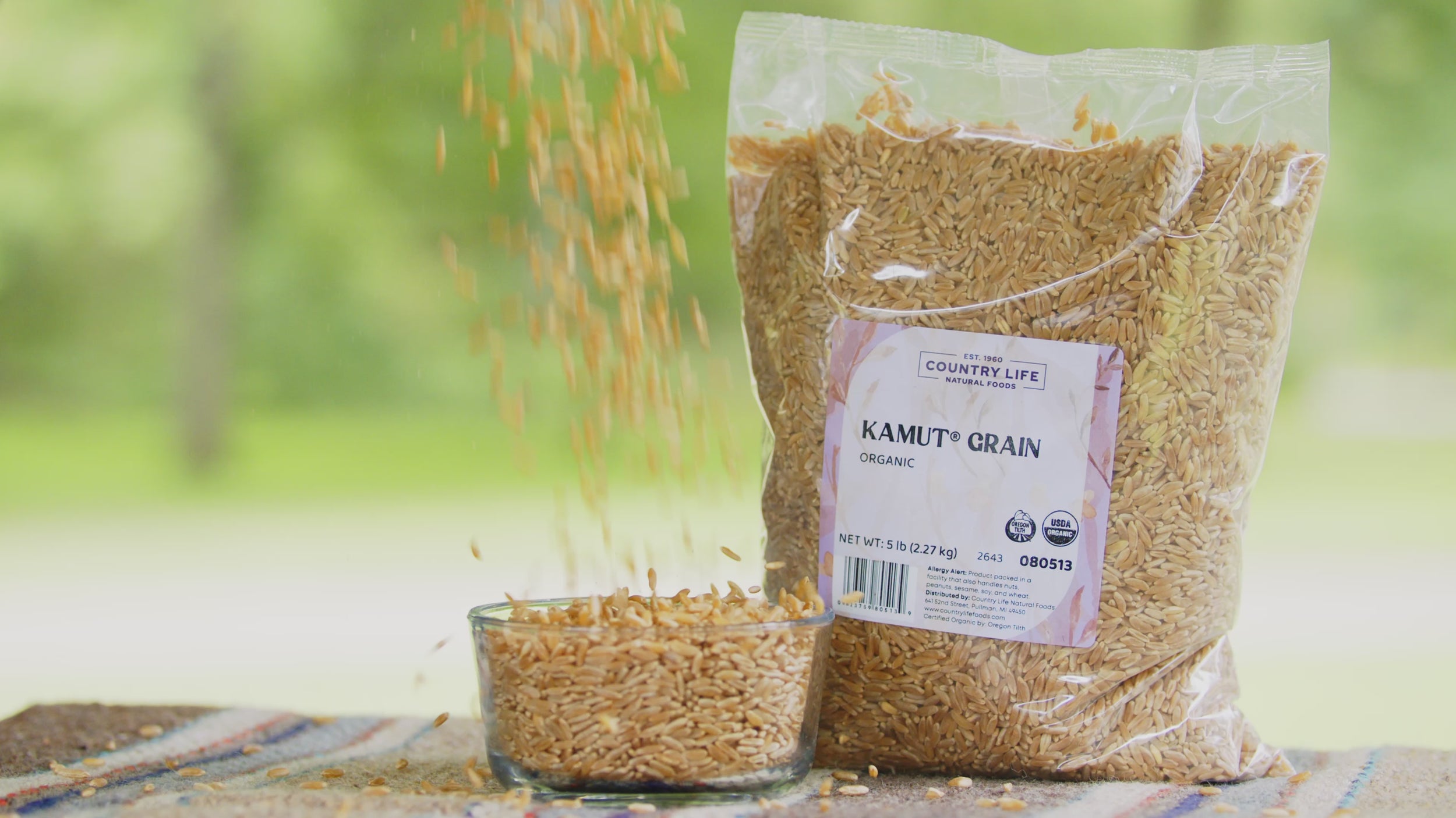 Kamut Grain