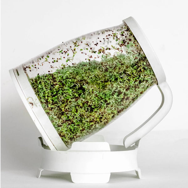 The Sprout Spout | Country Life Natural Foods
