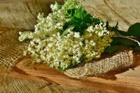 
                  
                    Elderflowers, Whole, Organic - Country Life Natural Foods
                  
                