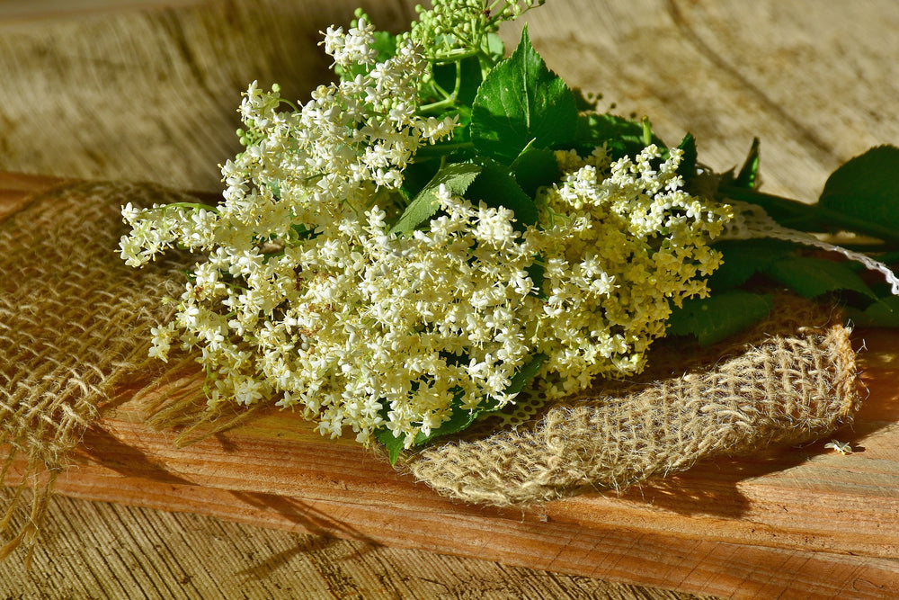 
                  
                    [Elderflowers Whole] - Country Life Natural Foods
                  
                