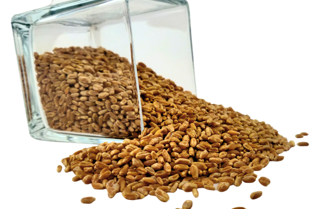 Wheat Berries, Hard Red Winter Wheat - Country Life Natural Foods