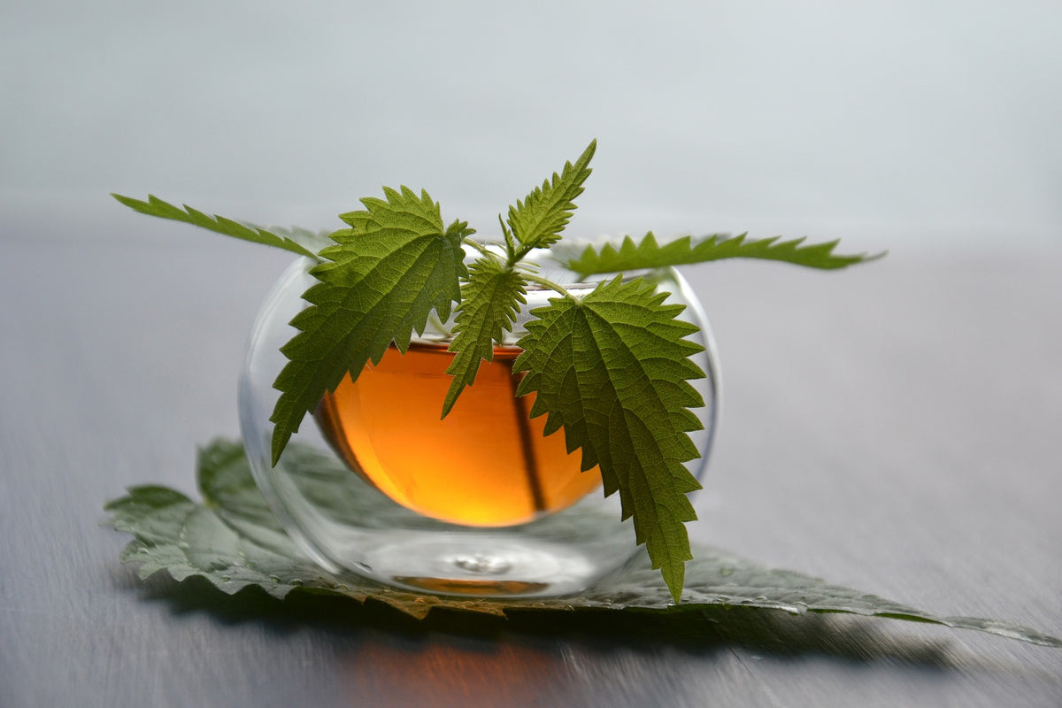 Nettle Leaf, Cut, Sifted, Herbs - Country Life Natural Foods