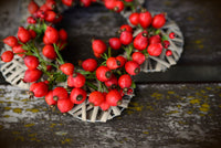 
                  
                    Rosehips Seedless, Cut, Sifted - Country Life Natural Foods
                  
                