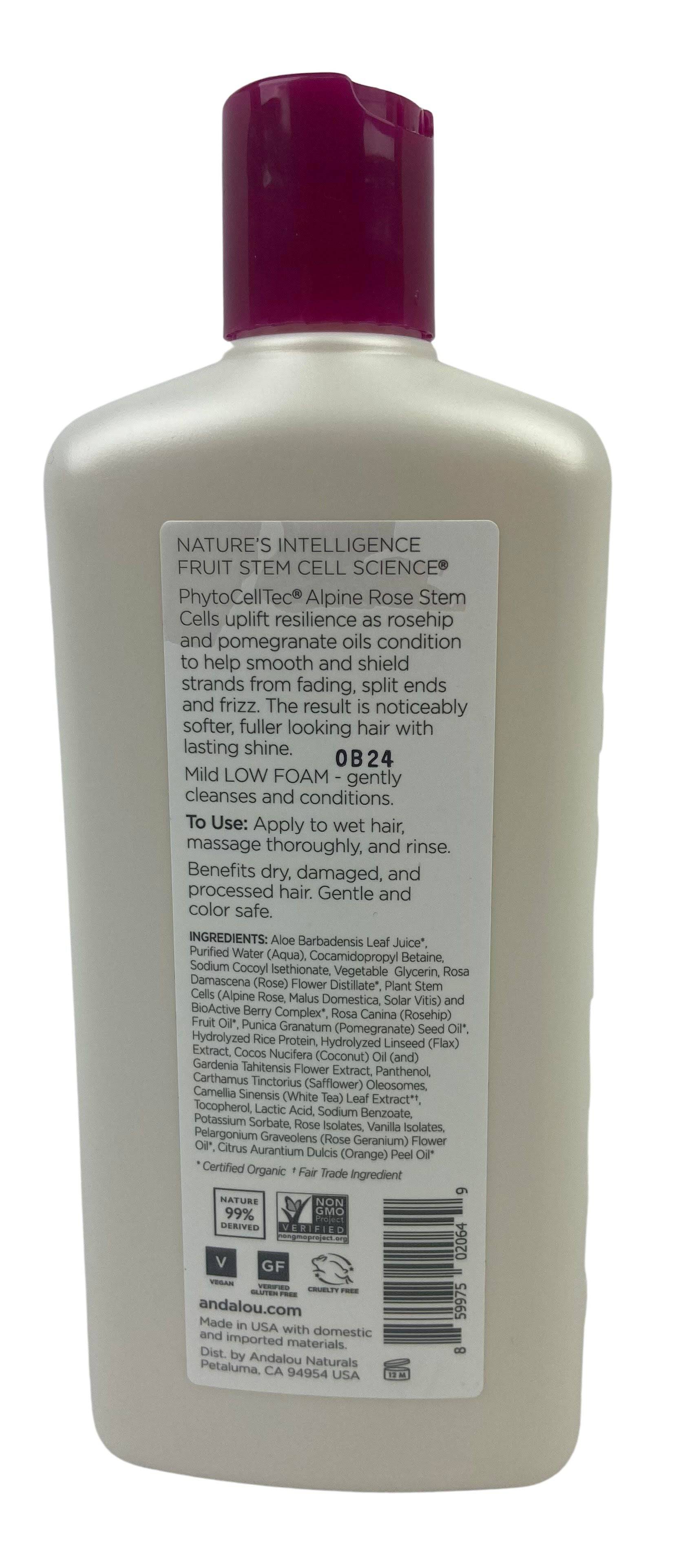 Shampoo, 1000 Roses, Andalou Naturals - Country Life Natural Foods