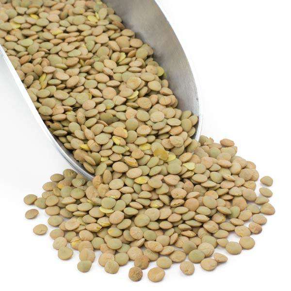 Green Lentils - Country Life Natural Foods