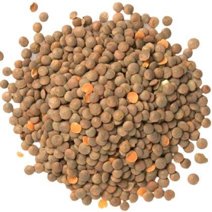 Lentils, Whole Red - Country Life Natural Foods