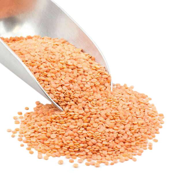 
                  
                    Red Lentils, Split, Organic - Country Life Natural Foods
                  
                