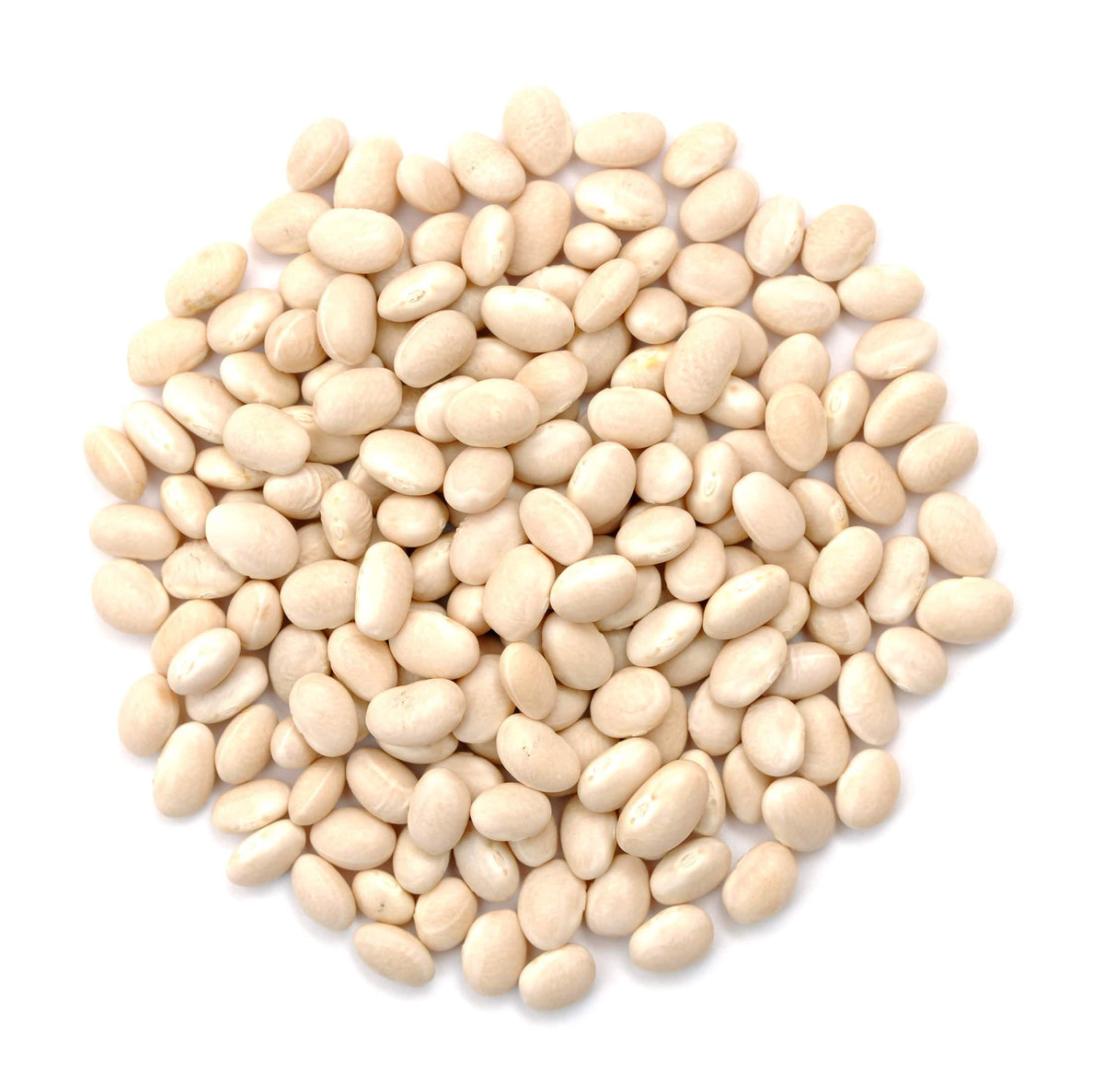 Navy Beans, Organic - Country Life Natural Foods