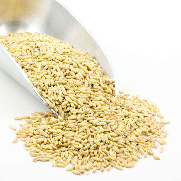 
                  
                    Oat Groats, Whole, Organic - Country Life Natural Foods
                  
                