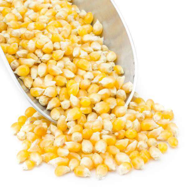 Organic Popcorn, Yellow - Country Life Natural Foods