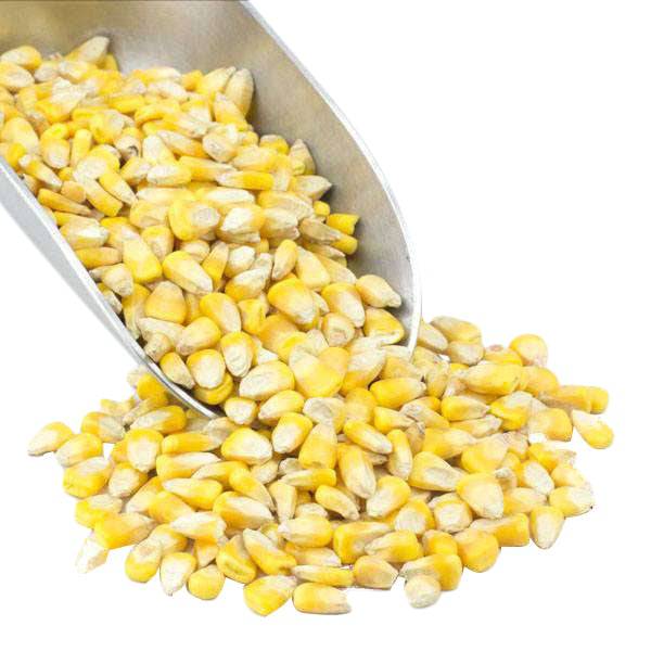 Organic Corn, Whole, Yellow - Country Life Natural Foods
