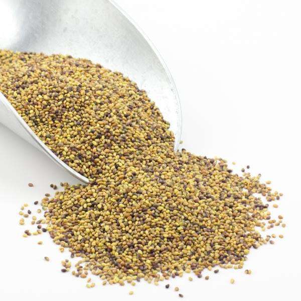 strawberry clover seeds Clover Seeds Red | Organic | 12 oz