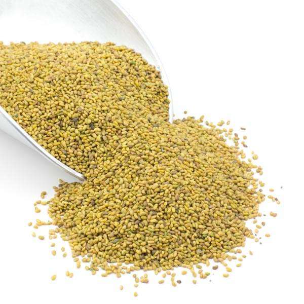 Organic Alfalfa Seeds - Country Life Natural Foods