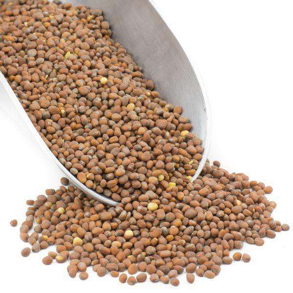 Organic Radish Seeds - Country Life Natural Foods
