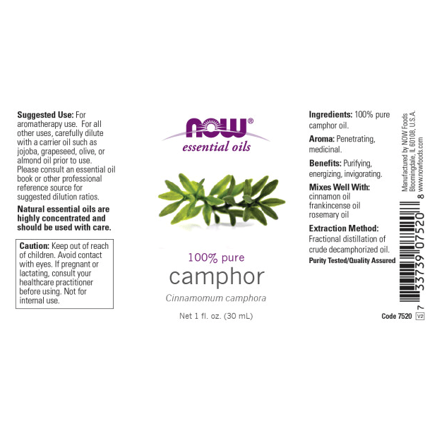 
                  
                    Camphor Essential Oil 1 oz. - Country Life Natural Foods
                  
                