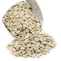 Seeds